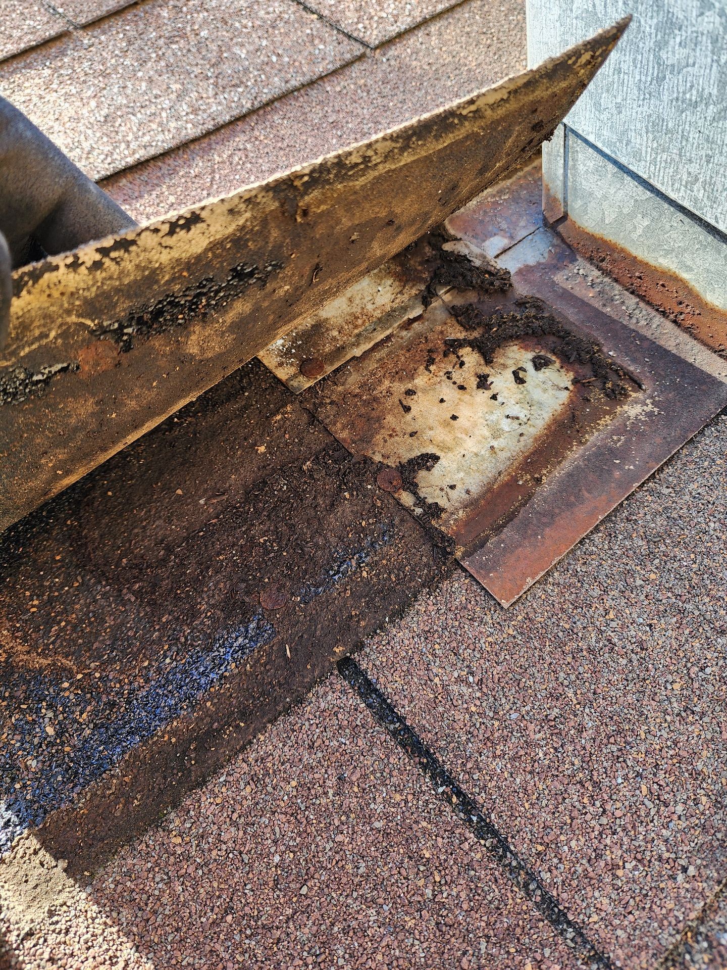 Inspection and Consultation Services